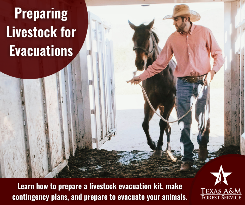 Evacuation Resources - Livestock Evacuation